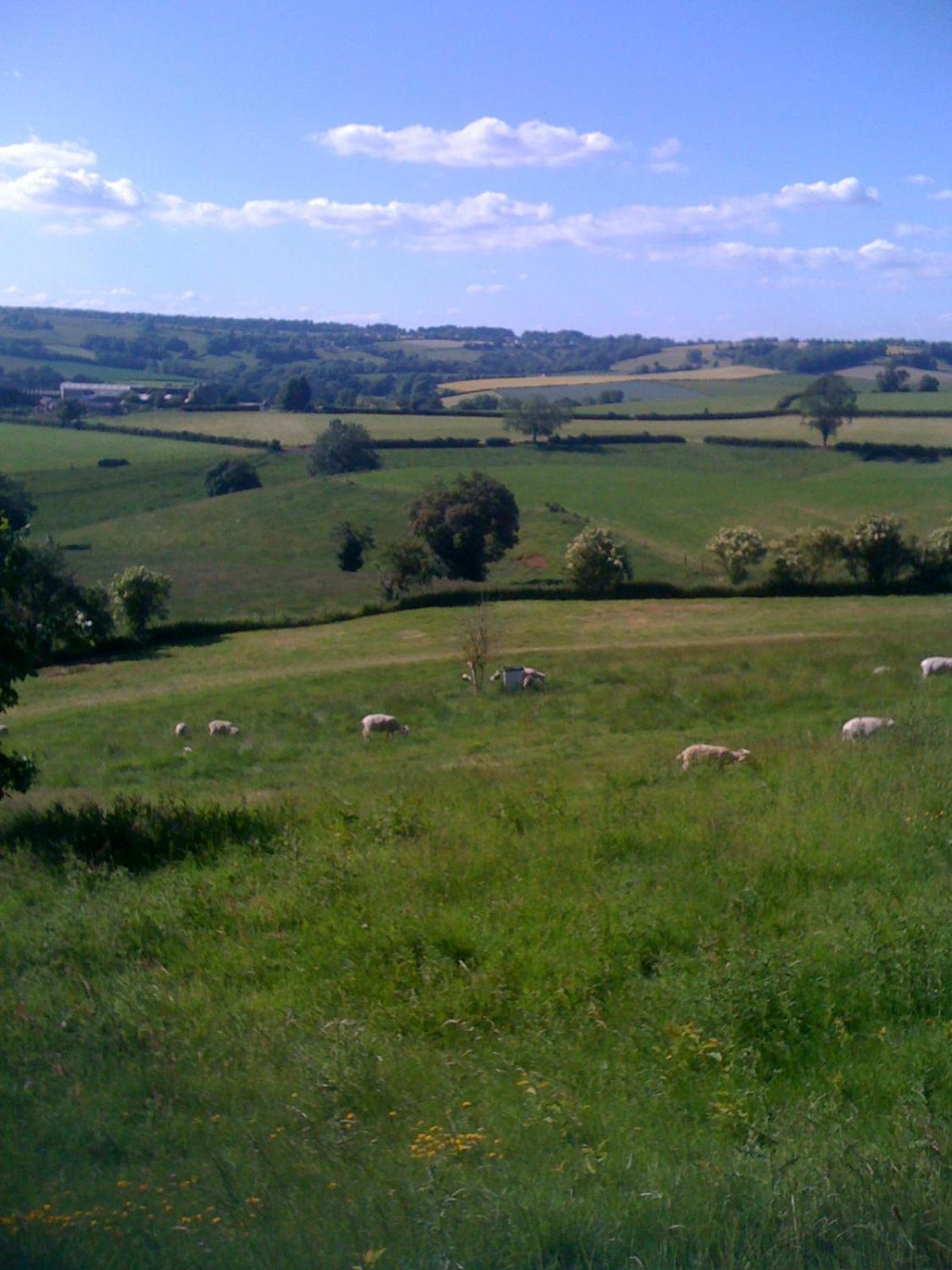 T'S At Lower Rudloe Farm Pensionat Corsham Eksteriør billede